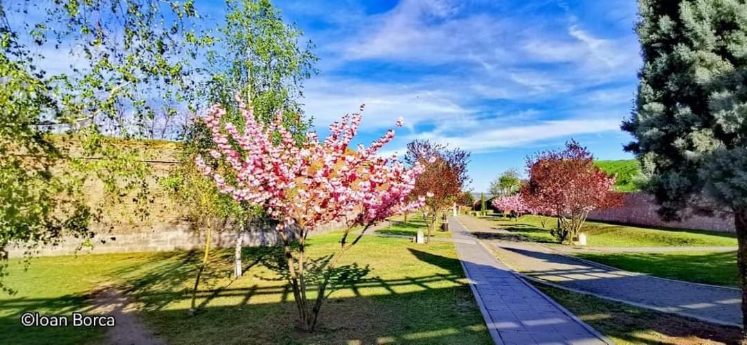 The View1 Διαμέρισμα Άλμπα Ιούλια Εξωτερικό φωτογραφία